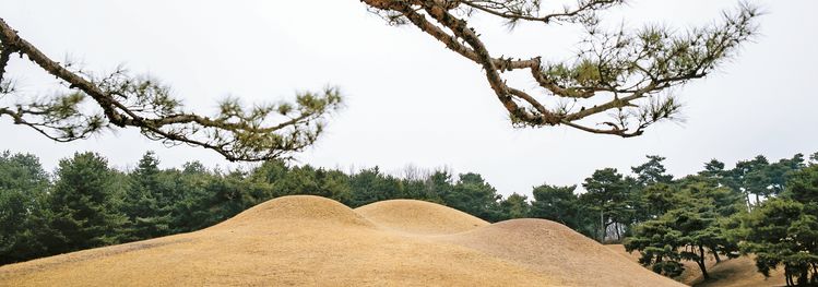 유네스코 세계유산인 충청남도 공주 송산리 고분군. 앞쪽 왼쪽 무덤이 5호분, 오른쪽이 6호분이며 그 뒤로 보이는 게 무령왕릉이다. 5,6호분과 바싹 붙어있어서 무덤처럼 보이지 않았기에 도굴을 면할 수 있었다. 박종근 기자