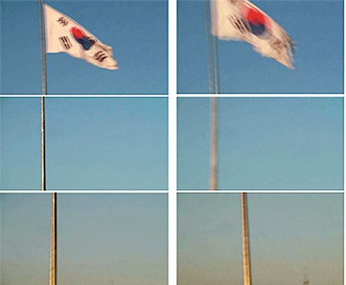 작품 '태극기 그리고 나'
