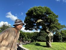 中国の解説を賞賛する…「思考庭」を作成した金持ちの人の夢