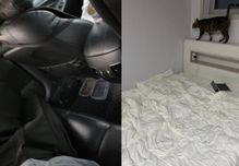 1년간 차에서 생활하며 버텼다…'전세사기 극복' 20대 사연 화제