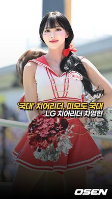 차영현 관련 보도 대표 이미지