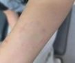 “아빠 살려줘” 얼굴 퉁퉁 부은 딸…광양 대안학교서 무슨 일이