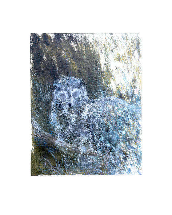 김기민 작가 작품. 'Scops owl no.2' [사진 Art Pan 갤러리] 