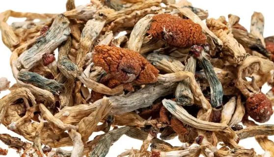 환각 성분인 실로시빈(psilocybin, 일명 매직머쉬룸). [ADF(Alcohol and Drug Foundation) 공식 홈페이지]