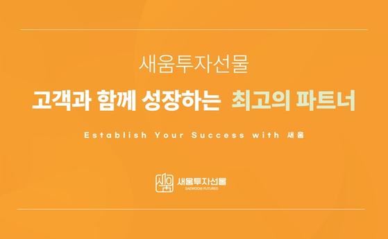 [이미지 제공 : 새움투자선물]