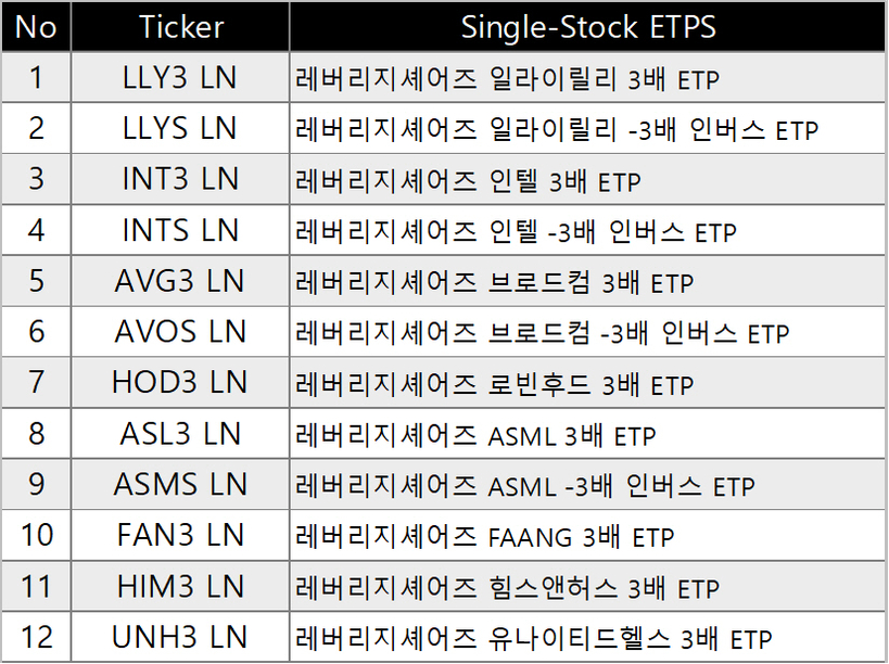 [이미지 제공 : 레버리지셰어즈(Leverage Shares)]