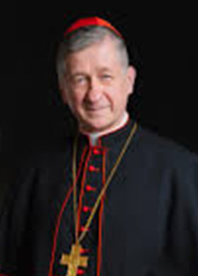 [시카고 대교구]