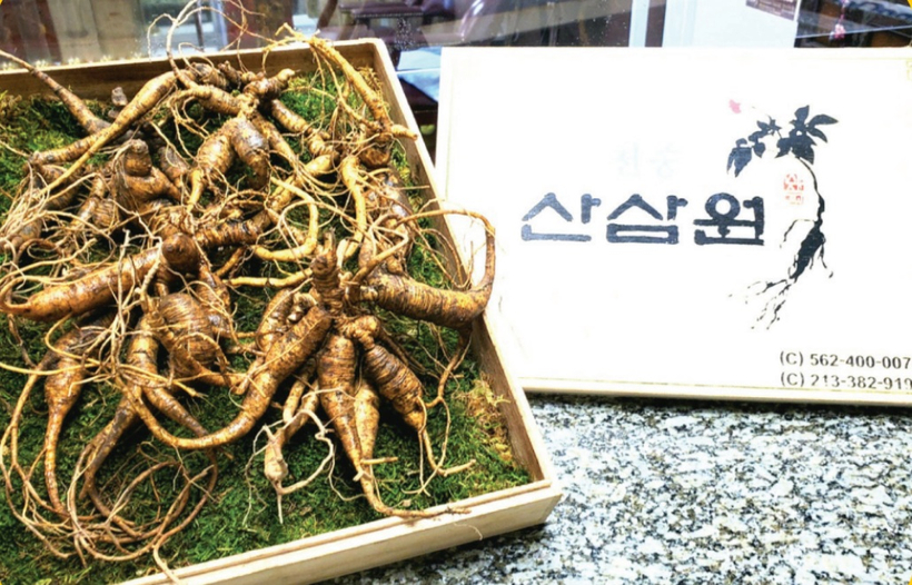 부에나파크 천종산삼원