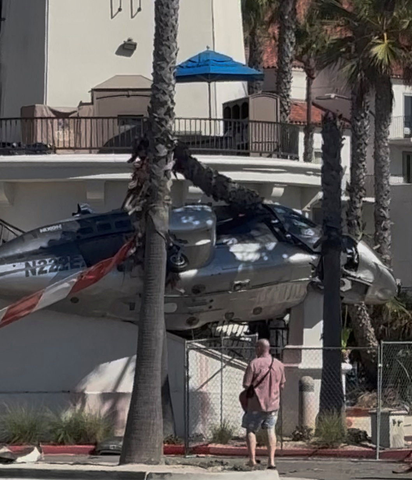 건물과 야자수 사이에 추락한 헬기.  [팀 로빈슨/로이터]