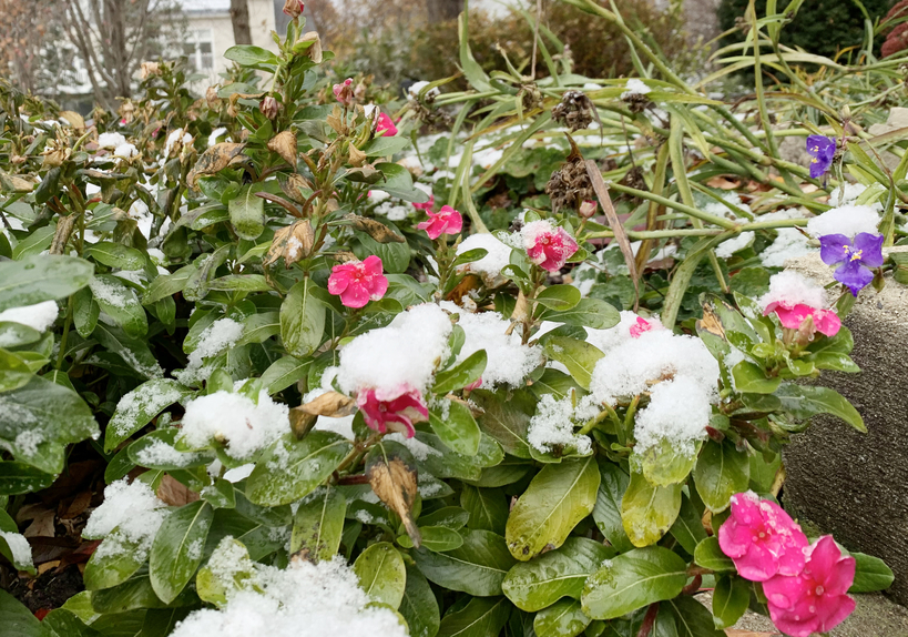 시카고 일원에 지난 주말 많은 양의 첫눈이 내렸다. 
