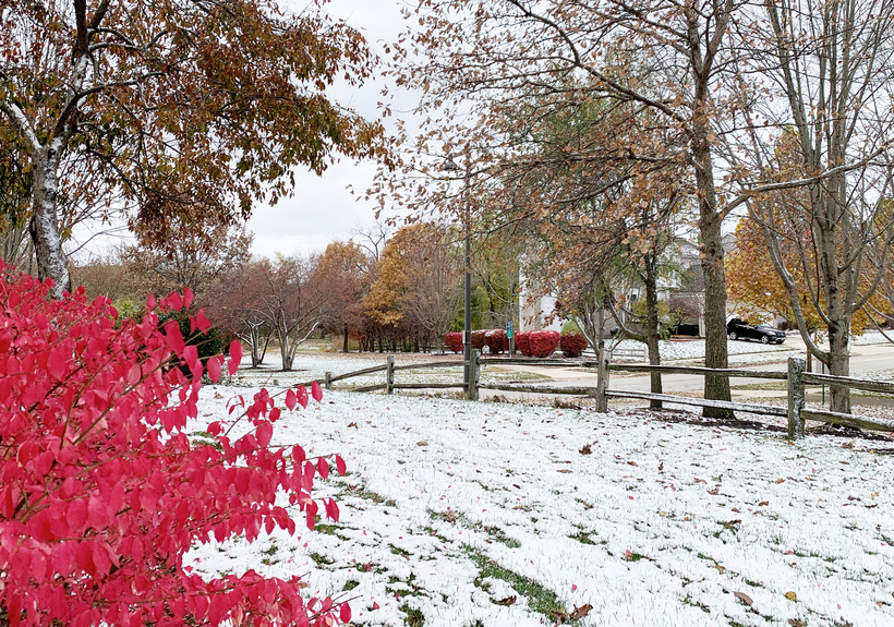 시카고 일원에 지난 주말 많은 양의 첫눈이 내렸다. 