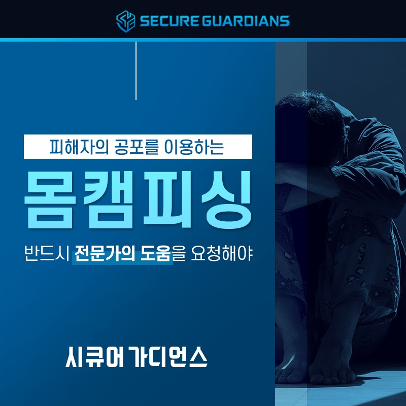 [이미지 제공 : 시큐어가디언스]