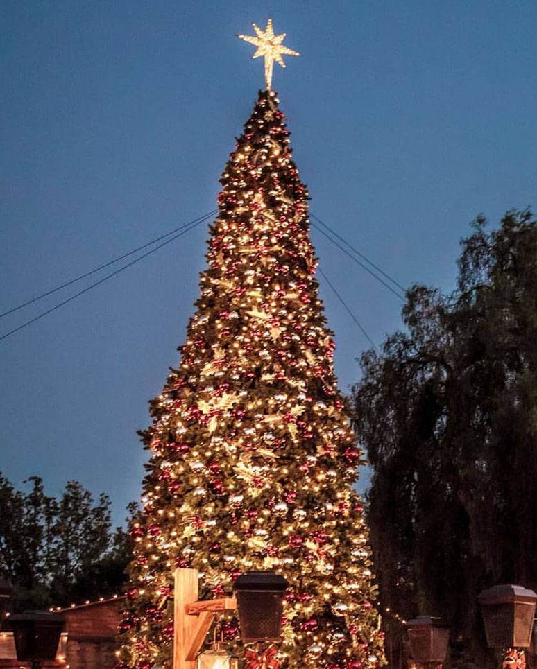 나츠베리팜 크리스마스 트리