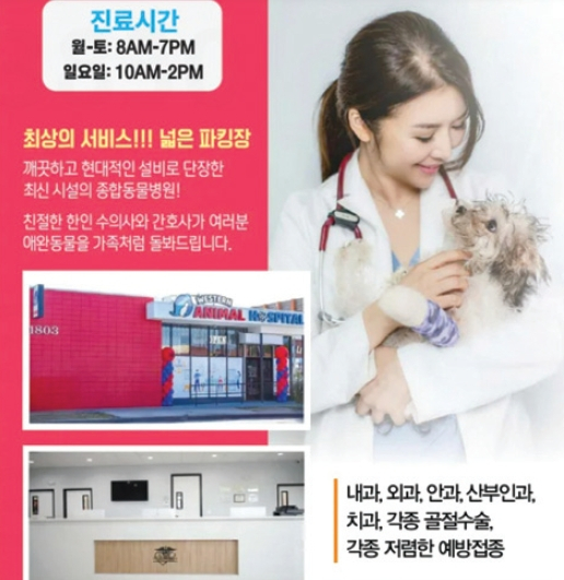 웨스턴 동물병원