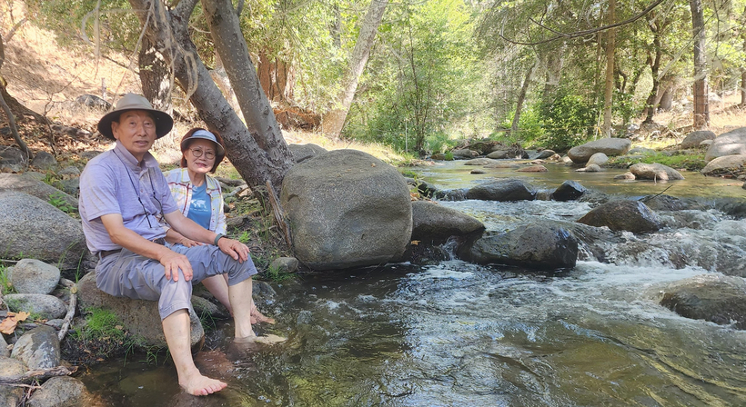 짙은 숲과 시냇물이 어우러진 세코야 천연 힐링 센터에서는 온전히 휴식과 회복의 시간을 경험할 수 있다.