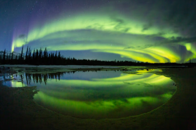 트래블알버타 웹사이트 