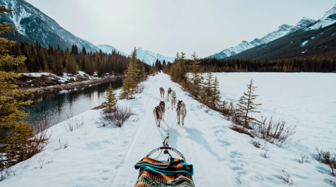 트래블알버타 웹사이트 