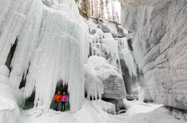 트래블알버타 웹사이트 