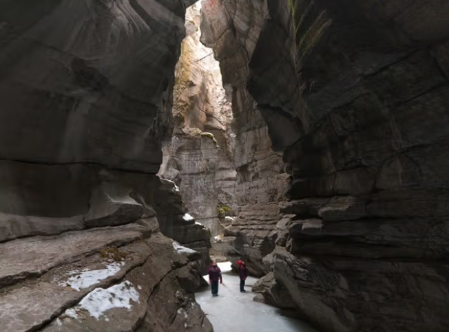 트래블알버타 웹사이트 