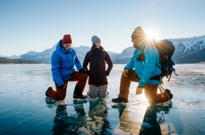 트래블알버타 웹사이트 