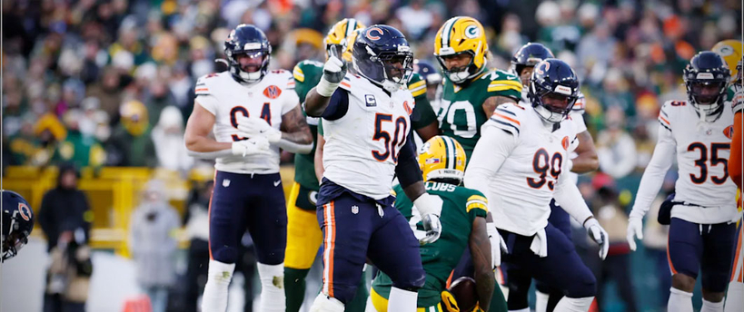 [시카고 베어스]