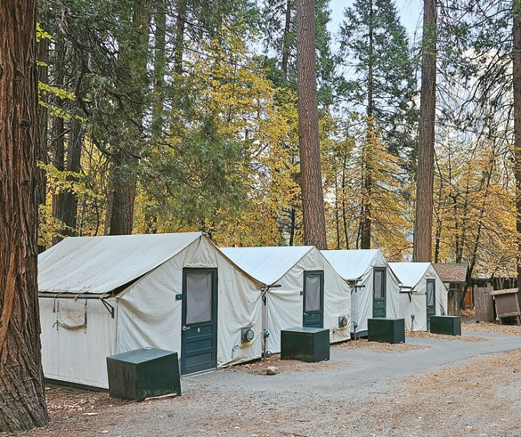요세미티 국립공원 커리 빌리지 전경. 