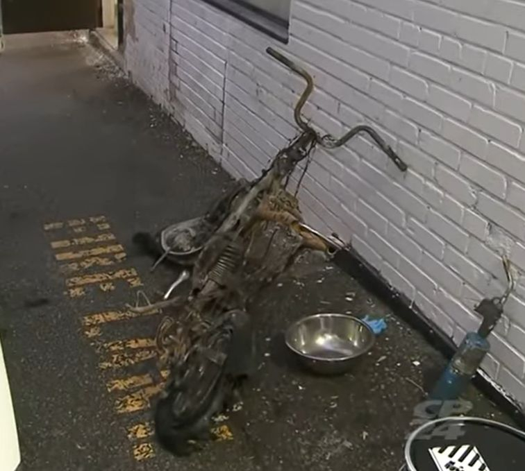 [Youtube @CP24 캡쳐]