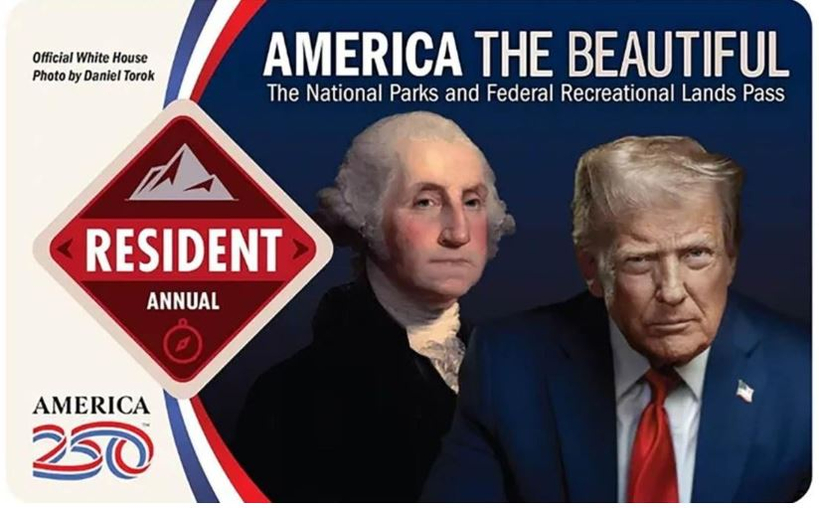 국립공원 이용권의 트럼프 얼굴을 가려라 