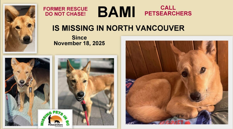 출처=@Petsearchers Canada/Facebook