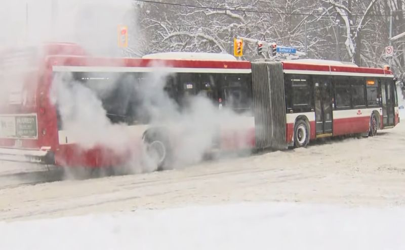 [Youtube @CityNews 캡쳐]