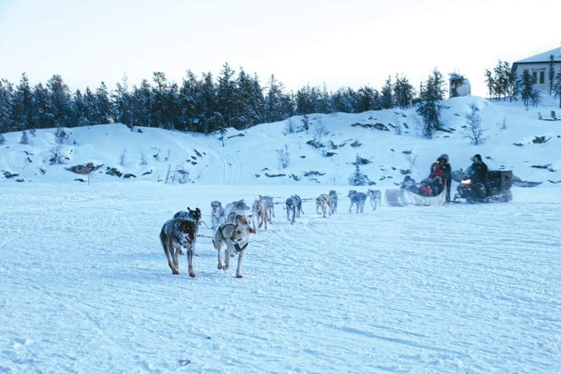 영하의 설원, 힘차게 달리는 개 썰매의 역동적인 풍경을 추억의 한 장면으로 남겼다.