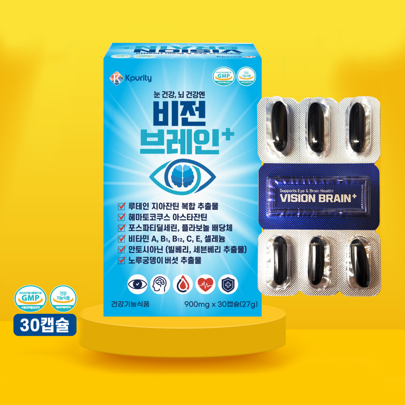 비전 브레인+