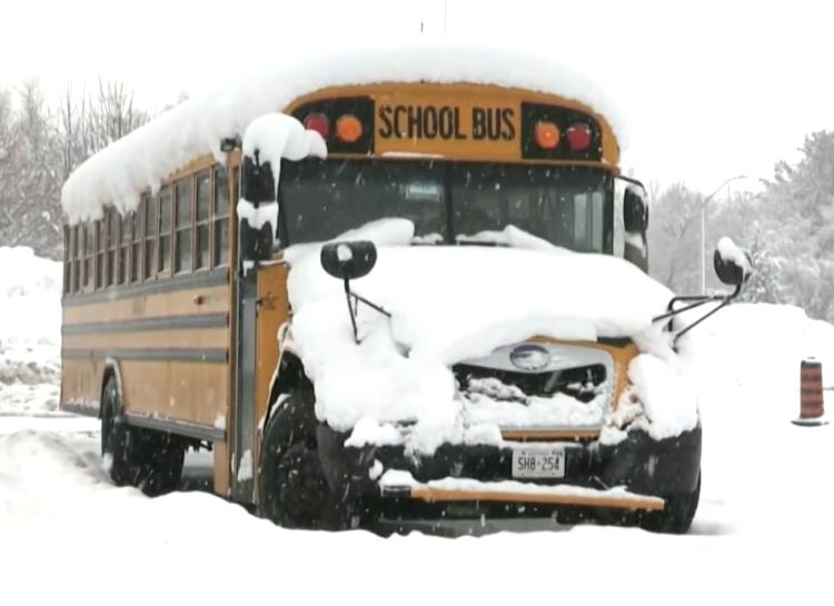 [Youtube @CTV News 캡쳐]