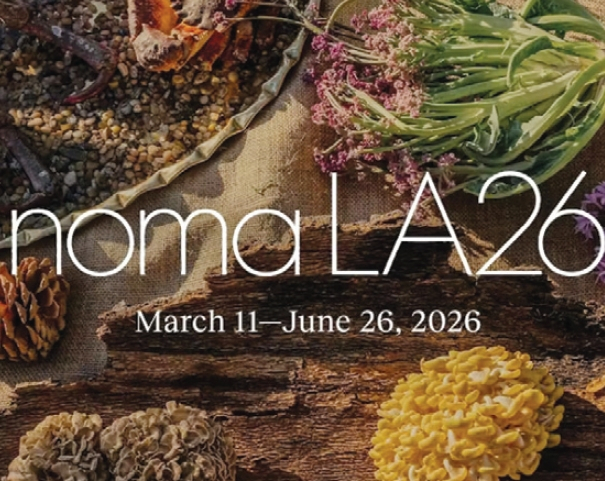 레스토랑 ‘노마(Noma)’의 LA팝업 오픈을 알리는 홍보용 인터넷 배너.  [노마 홈페이지]