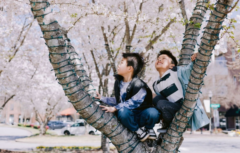 작년 수상작인 정하영 작가의 '분홍색 하늘'(Pink Sky) [스와니 시 제공]