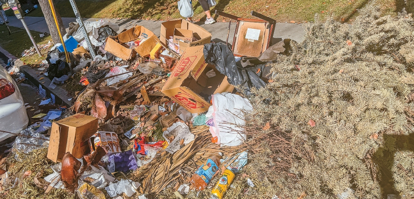 뉴햄프셔 애비뉴와 제임스 M 우드 불러바드 인근 도로변에 크리스마스트리 등 생활 쓰레기가 버려져 있다.  김상진 기자