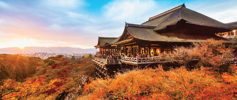 동부관광은 올 가을 한국의 일본의 가을 단풍을 체험할 수 있는 제26차 추석맞이 고국방문 여행을 실시한다. [사진 동부관광]