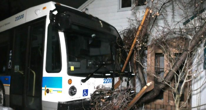 [Youtube @CTV News 캡처]