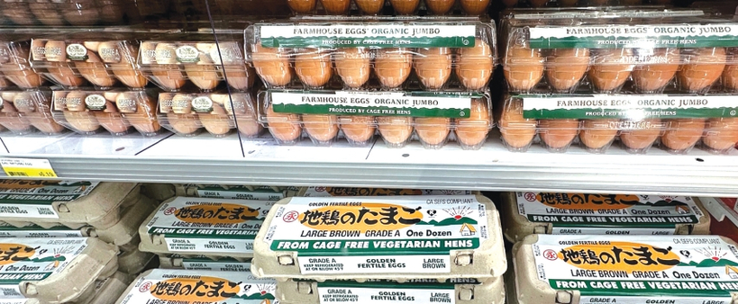 계란값이 30% 이상 하락했다. 마켓서 판매 중인 계란들. 박낙희 기자