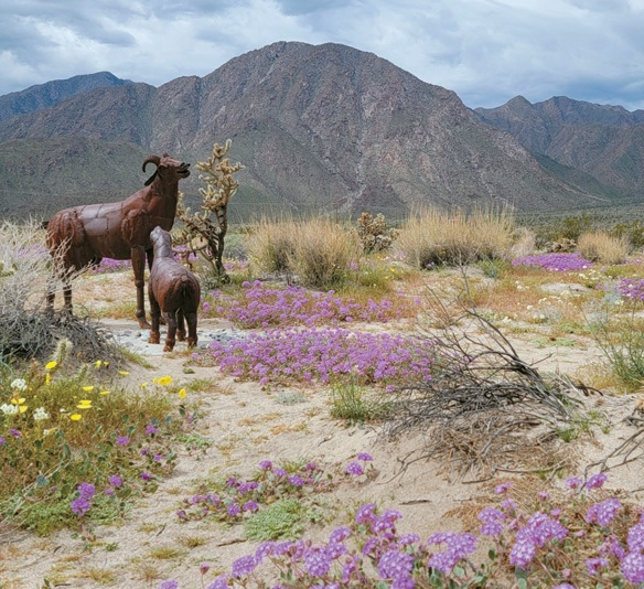 안자보레고 사막 주립공원은 경이로운 야생화와 금속 조형물로 유명하다.