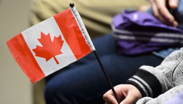 [Youtube @CBC News: The National 캡처]