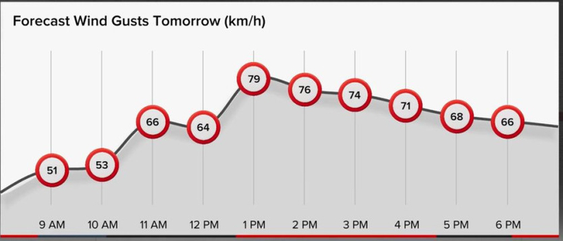 [Youtube @CityNews 캡처]