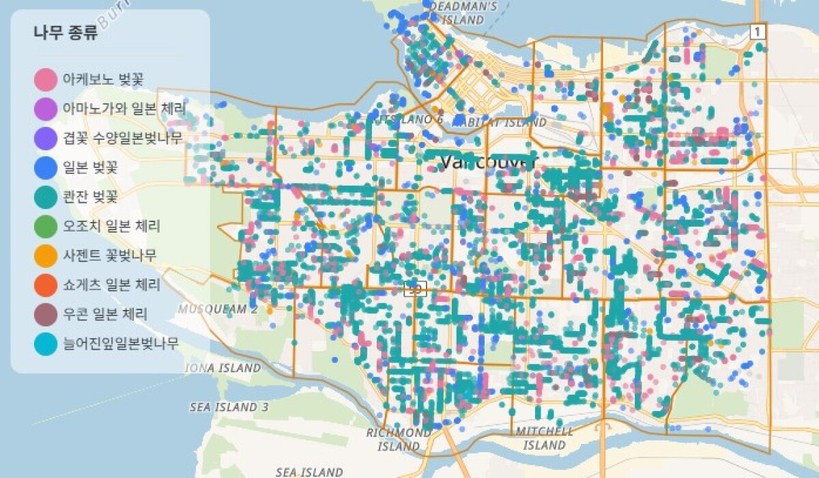 출처=The Vancouver Cherry Blossom Marathon: A Data-Driven Guide to the City's Most Spectainable Streets