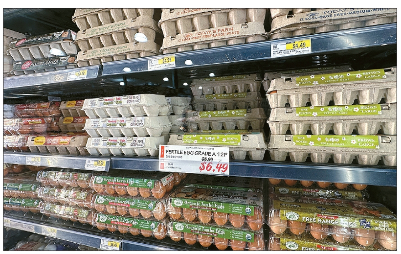 커피 가격이 55.2% 상승한 반면 계란은 16.6% 하락했다. 마켓서 판매되고 있는 계란 제품들. 박낙희 기자