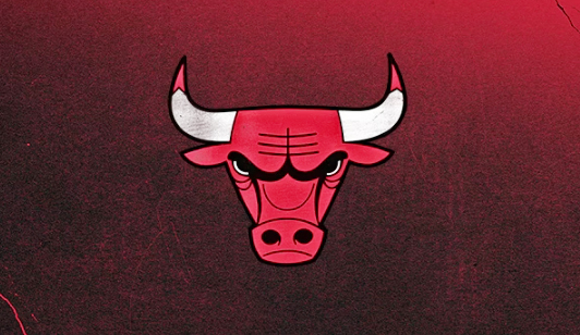 NBA 불스 [NBA[ 