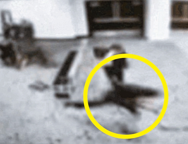 25일 용의자(원)가 보안검색대를 지나 질주하고 있다. [트루스소셜 캡처]