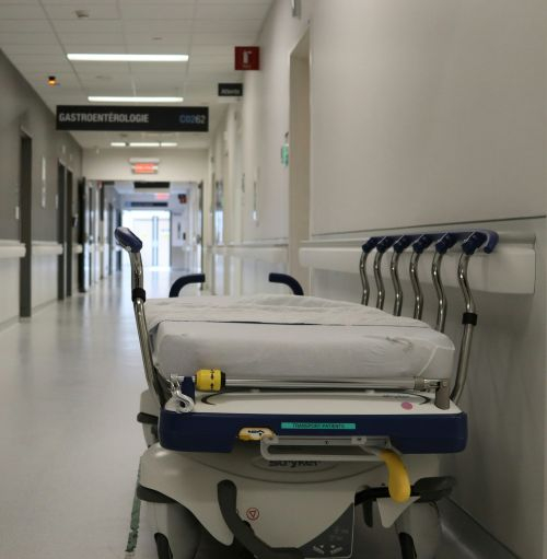 [Unsplash @Miguel Ausejo]