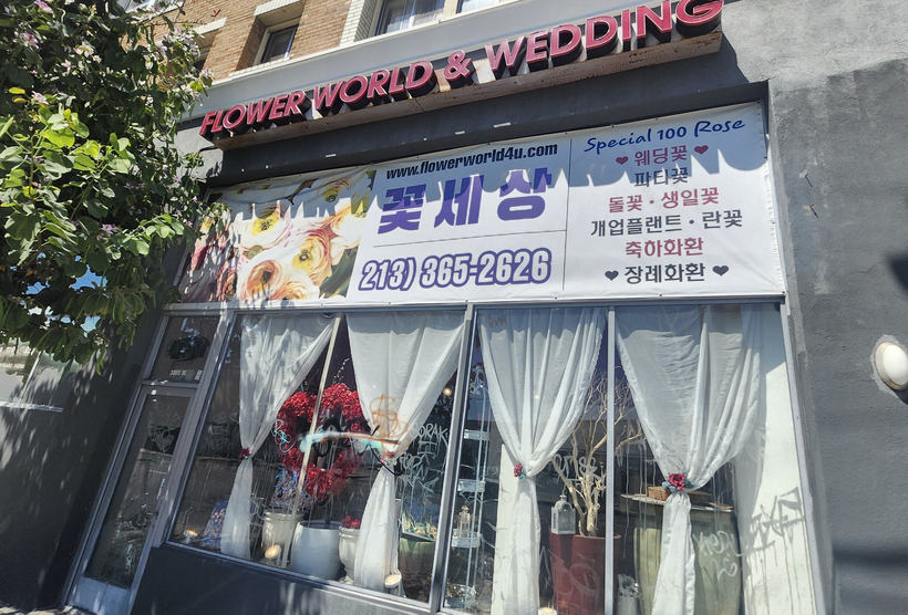 꽃세상 꽃집