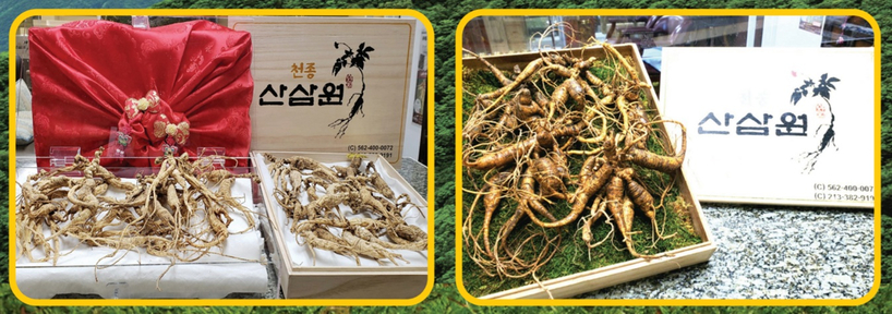 부에나파크 천종산삼원