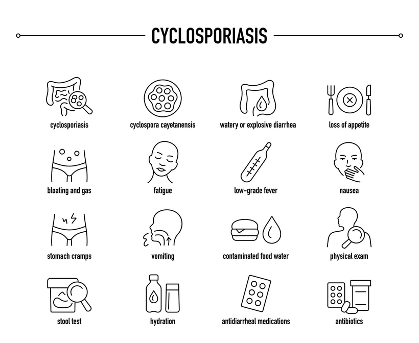 연방질병통제예방센터(CDC)는 사이클로스포리아증(Cyclosporiasis)을 막기 위해서는 여행 시 수돗물을 마시지 말고, 조리 전후에는 비누로 손을 씻을 것을 권고했다. [제미나이 이미지 생성]